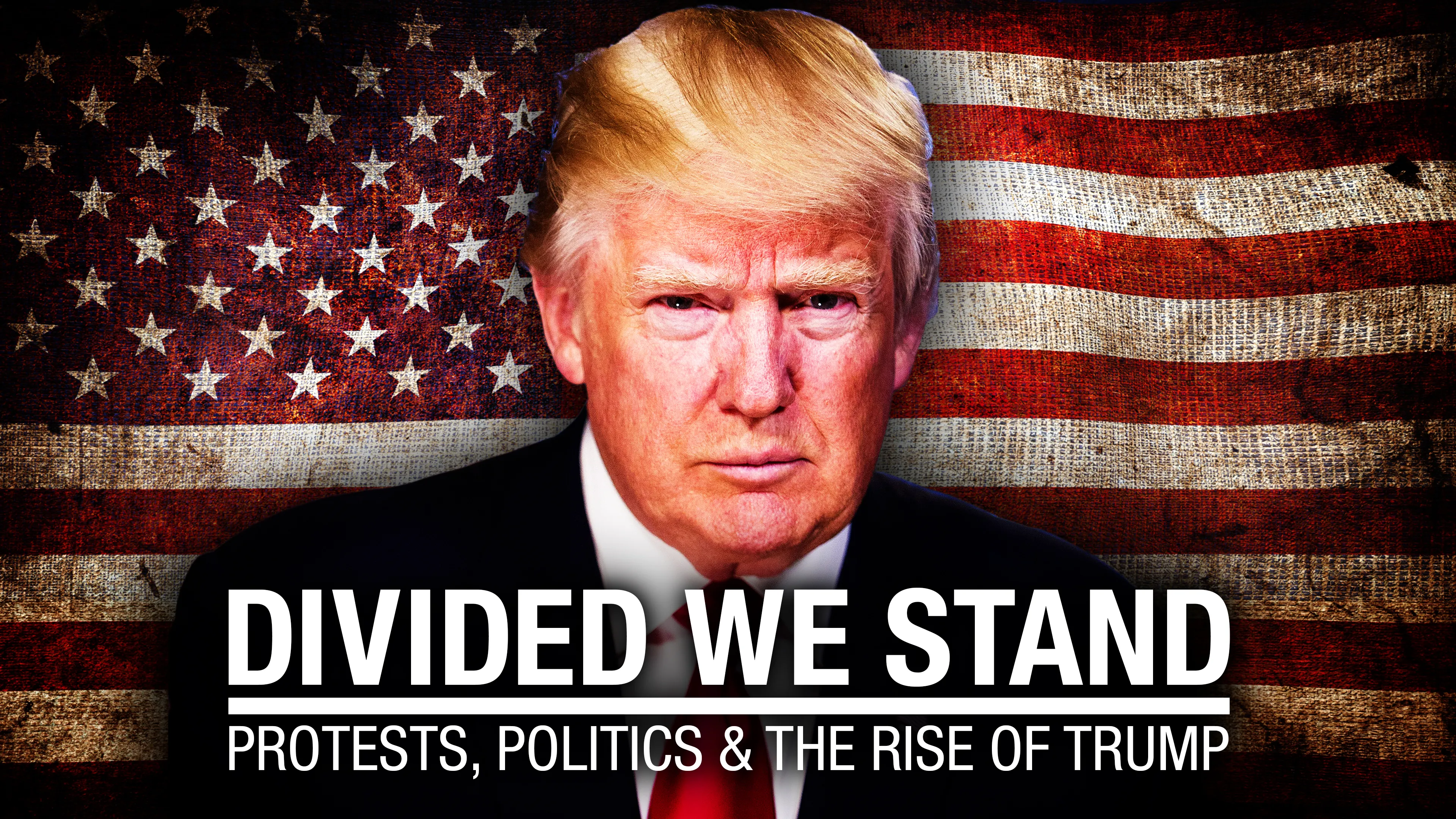 Divided We Stand: Protests, Politics, & the Rise of Trump poster